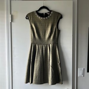 NWT Ted Baker Dress